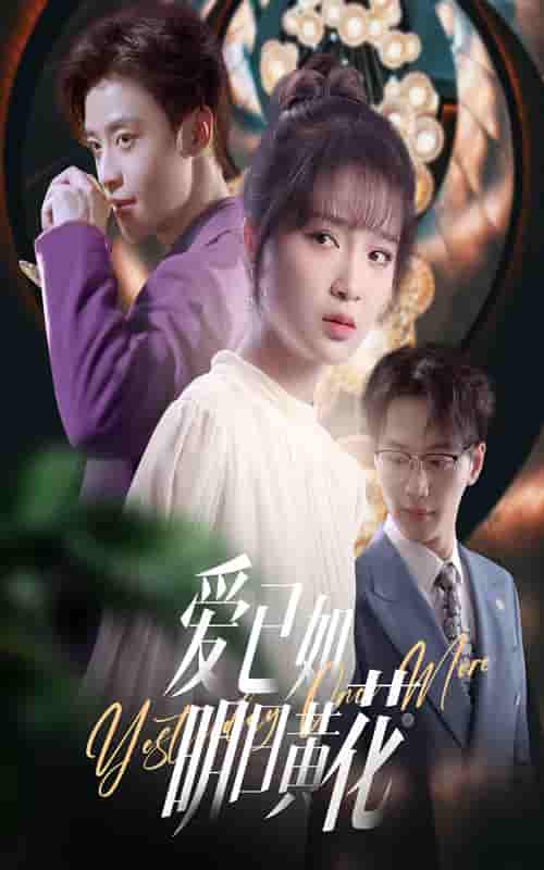 短剧 【爱已如明日黄花】 未删减版资源观看下载：高清短剧全集免费，大结局已完结无限制