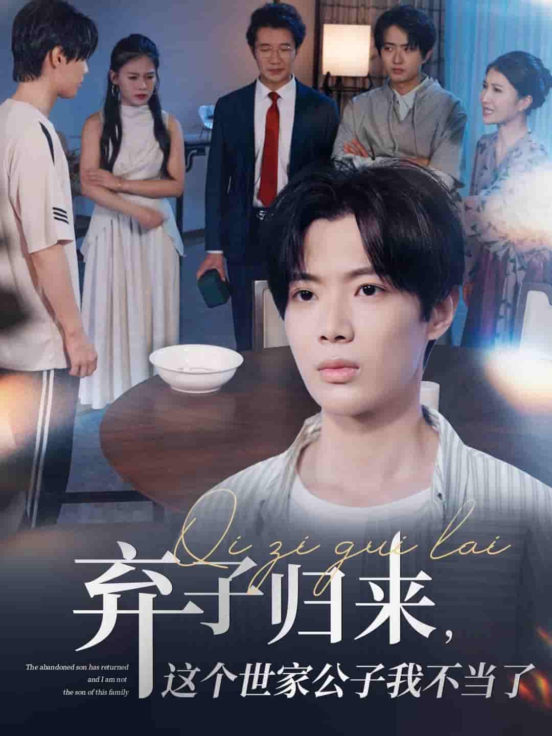 短剧 【弃子归来这个世家公子我不当了】 4K 高清短剧全集免米在线，完整版播放更畅快（资源观看）