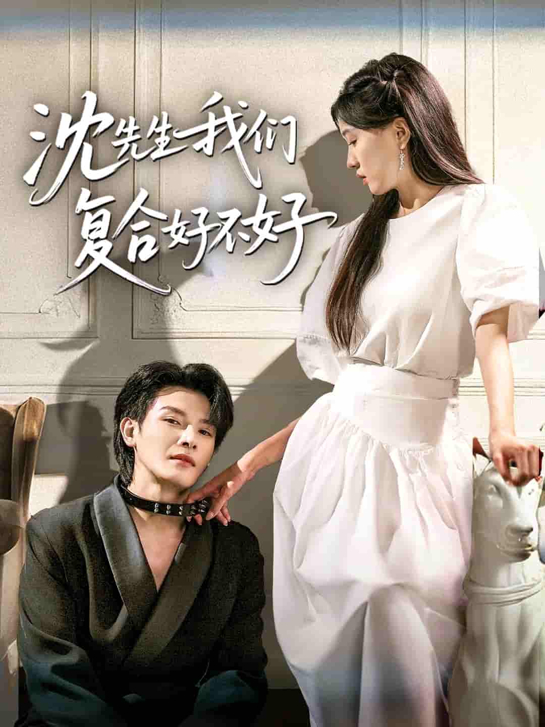 短剧 【沈先生我们复合好不好】 未删减版短剧 4K 高清免米，在线全集含后续