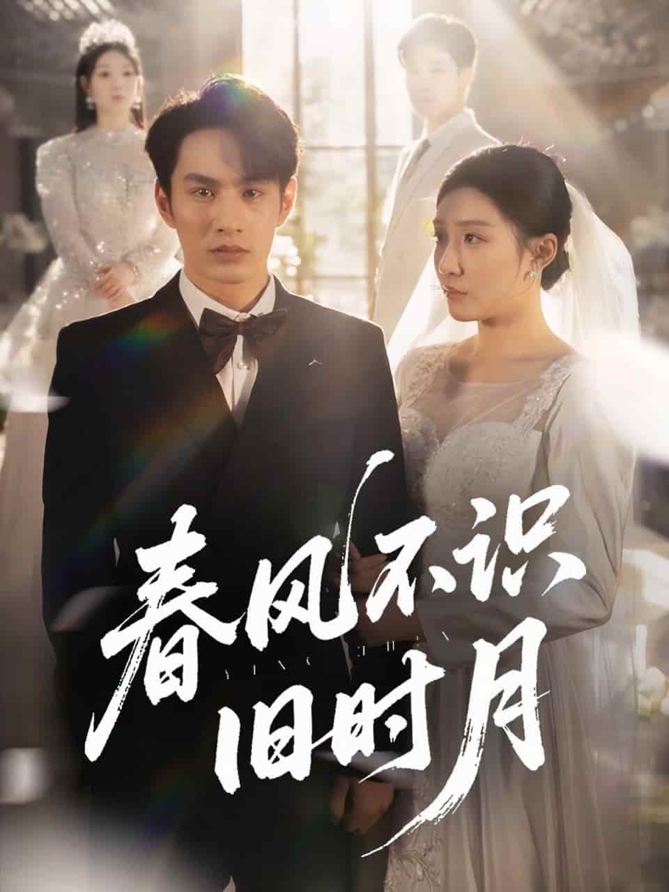 短剧 《春风不识旧时月》 高清短剧全集免费在线观，未删减版尽享视听（已完结）