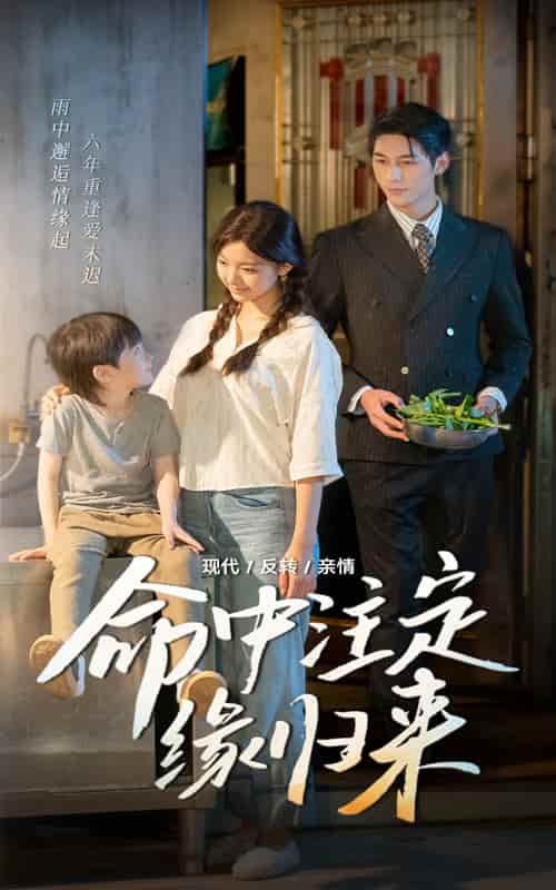 短剧《命中注定缘归来》完整版高清短剧免费看，在线全集任你选（大结局）  第1张
