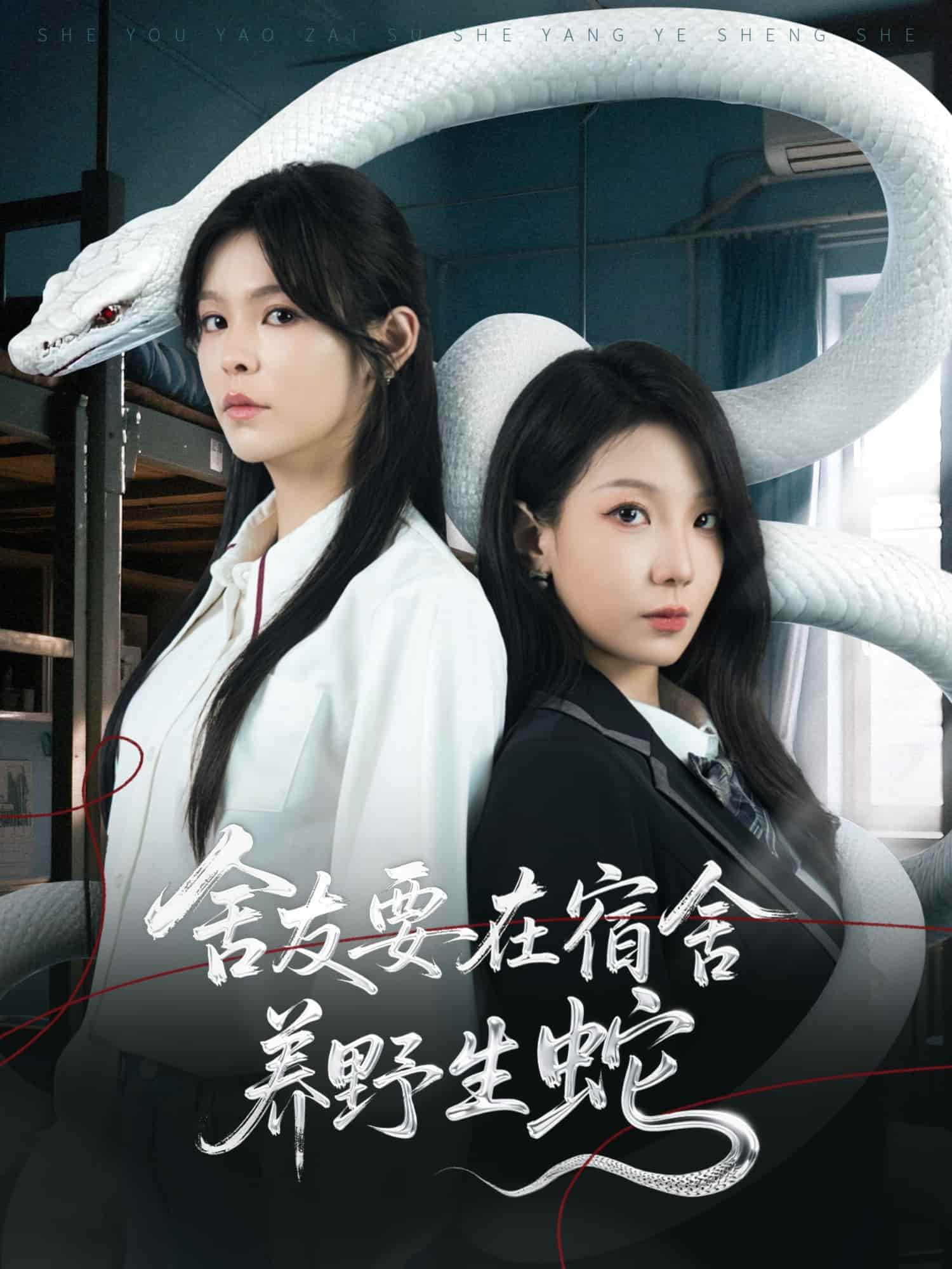 短剧《舍友要在宿舍养野生蛇》免米获取 4K 高清短剧，完整版观看至大结局（已完结）  第1张