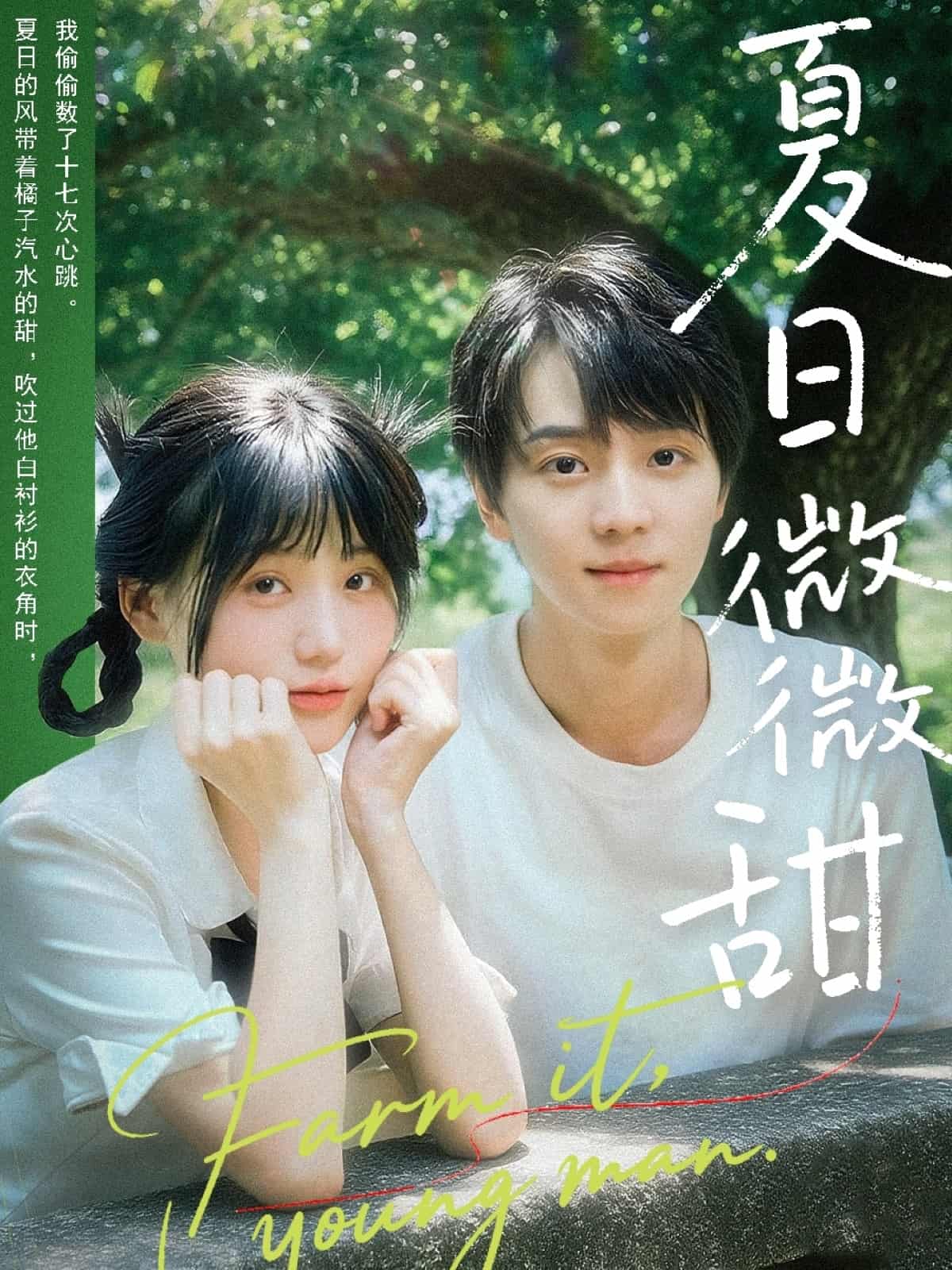 短剧《夏日微微甜》完整版短剧免费看，在线全集随心挑（含后续）  第1张
